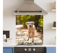 Premium 59.5 x 74.5cm Running Dog 6mm Glass Toughened Kitchen Splashback