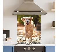 Premium 60 cm x 75 cm Running Dog Glass 6mm Kitchen Splashback Heat Resistant Toughened Polished Edges - Back Splash Back Coloured Hob Painted Tempered Splashback