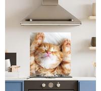 Premium 60 x 65cm Cute Cat 6mm Glass Toughened Kitchen Splashback