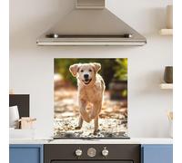 Premium 60 x 65cm Running Dog 6mm Glass Toughened Kitchen Splashback