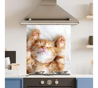 Premium 60 x 70cm Cat 6mm Glass Toughened Kitchen Splashback Appliance Accessory