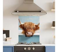 Premium 60 x 90cm Bath Cow 6mm Glass Toughened Kitchen Splashback