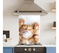 Premium 60 x 90cm Cat 6mm Glass Toughened Kitchen Splashback Appliance Accessory
