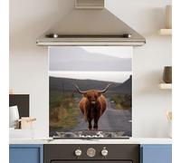 Premium 65 x 70cm Road Cow 6mm Glass Toughened Kitchen Splashback