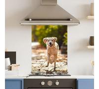 Premium 65 x 90cm Running Dog 6mm Glass Toughened Kitchen Splashback