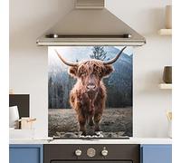 Premium 70 cm x 75 cm Highland Cow Glass 6mm Kitchen Splashback Heat Resistant Toughened Polished Edges - Back Splash Back Coloured Hob Painted Tempered Splashback