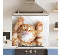 Premium 70 x 60cm Cat 6mm Glass Toughened Kitchen Splashback Appliance Accessory