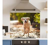 Premium 70 x 60cm Running Dog 6mm Glass Toughened Kitchen Splashback