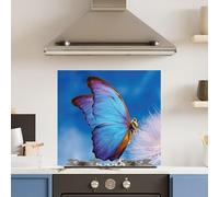 Premium 70 x 65cm Blue Butterfly 6mm Glass Toughened Kitchen Splashback