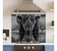 Premium 75 x 70cm Black White Bison 6mm Glass Toughened Kitchen Splashback