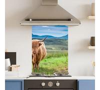 Premium 75 x 90cm Green Highland Cow 6mm Glass Toughened Kitchen Splashback
