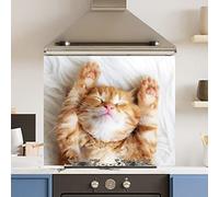 Premium 90 cm x 75 cm Cute Cat Glass 6mm Kitchen Splashback Heat Resistant Toughened Polished Edges - Back Splash Back Coloured Hob Painted Tempered Splashback