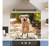 Premium 90 cm x 75 cm Running Dog Glass 6mm Kitchen Splashback Heat Resistant Toughened Polished Edges - Back Splash Back Coloured Hob Painted Tempered Splashback