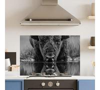 Premium 90 x 60cm Black White Bison 6mm Glass Toughened Kitchen Splashback
