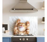 Premium 90 x 60cm Cat 6mm Glass Toughened Kitchen Splashback Appliance Accessory