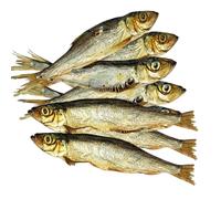 Premium Air Dried Whole Herring Dog Treats |100g 12-15 Fish | 100% Natural, High Protein, Omega-3 Rich Grain Free | Single Ingredient Fish Snacks for Dogs | Ideal for Training, Healthy Skin & Coat