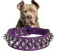 Premium Anti-bite Spiked Dog Collar with Studded Sport Padding - Fits Bulldogs Pugs & Small/Medium/Large Dogs