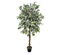 Premium Artificial Variegated Ficus Tree 180 cm Potted Plant, green