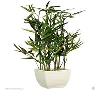 Premium Bamboo artificial plant touch of greenery to Home Decoration - White