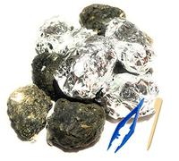 Premium Barn Owl Pellets, Small: 1.25"-1.5" (Pack of 20) - Free Bone Identification Chart and Teaching Guide Included!