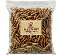 Premium Calci Worms 2kg | Natural Wild Bird Feed & Hedgehog Food Alternative to Mealworms | High Protein Bird Food | High Calcium Calciworms Treat | By Trusty Pet Supplies
