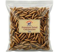 Premium Calci Worms 5kg | Natural Wild Bird Feed & Hedgehog Food Alternative to Mealworms | High Protein Bird Food | High Calcium Calciworms Treat | By Trusty Pet Supplies