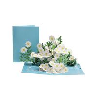 Premium Daisy 3D Laser Cut Pop Up Greeting Cards Top - Grade Coloured Cardstock 15x20cm Card Four - Colour Printing, for Valentine'S Day, Birthdays, Weddings and Graduations