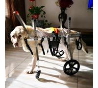 Premium Dog Wheelchair for Disabled Dogs - 4-Wheel Support Cart for All Breeds - Enhance Mobility & Rehabilitation for Pets with Limited Movement