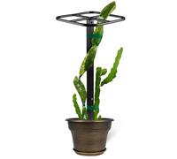 Premium Dragon Fruit Trellis - Durable Metal Trellis for Vertical Gardening and Climbing Plants - 12in x 12in x 50in