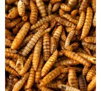 Premium Dried Calci Worms 5L (5L Bag)