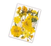 Premium Dried Flower Craft Supplies User Friendly Craft Projects Long Time Party Decorations Pressed Flower Art Supplies Long Time Dried Floral Arrangement