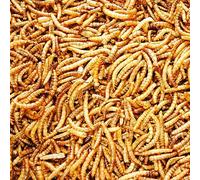 Premium Dried Mealworms - 10kg approx 60 - Wholesome Nourishment for Nature's Finest - Premium Dried Mealworms (10kg (approx 60 litres))