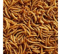 Premium Dried Mealworms, 2.5 Litre