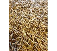 Premium Dried Mealworms 2kg for Wild Birds, Protein-Rich Mealworms, Ideal Food for Small Birds, Fresh Convenient Wild Bird Feed & Mealworm Bird Feeder Treats