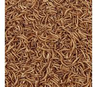 Premium Dried Mealworms 3L Refill Bag