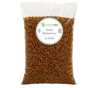 Premium Dried Mealworms 3L Refill Bag