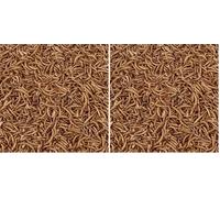 Premium Dried Mealworms 3L Refill Bag (Pack of 2)