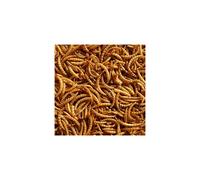 Premium Dried Mealworms, 5L Bag