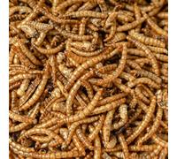Premium Dried Mealworms for Wild Birds, 5L Refill Bag - 800G, 100% Natural High-Protein & High-Energy Feed, Mess-Free Bird Food with Edible Oils, Ideal for Garden Birds, All Wild Bird Species