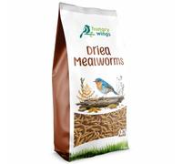 Premium Dried Mealworms, Wild Bird Food, 2.5L Refill Bag