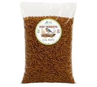 Premium Dried Mealworms, Wild Bird Food, 2.5L Refill Bag