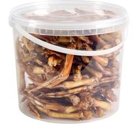 Premium Duck Feet Dog Treats, 5L Tub