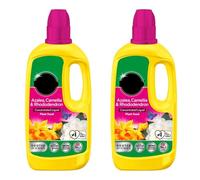 Premium Ericaceous Liquid Plant Food, Balanced Nutrient Feed for Acidic Soil Plants, Enhances Soil pH, Boosts Flowering & Improves Leaf Colour for Healthy, Thriving Gardens, 800ml, (Pack of 2)