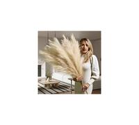 Premium Extra Large Pampas Grass Artificial- Beige Pampas Grass Decor- Faux Pampas Grass Large 3x115cm- Tall, Boho Fluffy Pampas Grass
