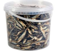 Premium Fish Sprats Dog Treats, 5L Tub