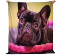 Premium Flannel Thermal Warm Blankets 220x240 cm - Super Soft Cozy Animal Dog French Bulldog Throw, Green Purple Fluffy Blanket for Couch Sofa Bed and Travel