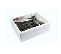 Premium Fresh Whole Sea Bass XL Box 200kg - Restaurant Grade Mediterranean Fish - Sustainably Sourced, Large Size, Bulk Supply for Catering & Wholesale - Fresh or Frozen Options Available