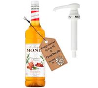 Premium Gingerbread Syrup 1L for Coffee and Cocktails | Gingerbread Coffee Syrup with Monin compatible pump