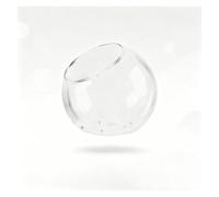Premium Glass Terrarium Containers For Indoor Plants, Miniature Gardens Home Décor Crystal Clear, Versatile Shapes, Easy Planting(10CM)