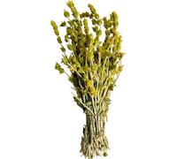 Premium Greek Mountain Tea Sideritis Scardica 220g - 1.95Kg Whole Bunch (950 grams)